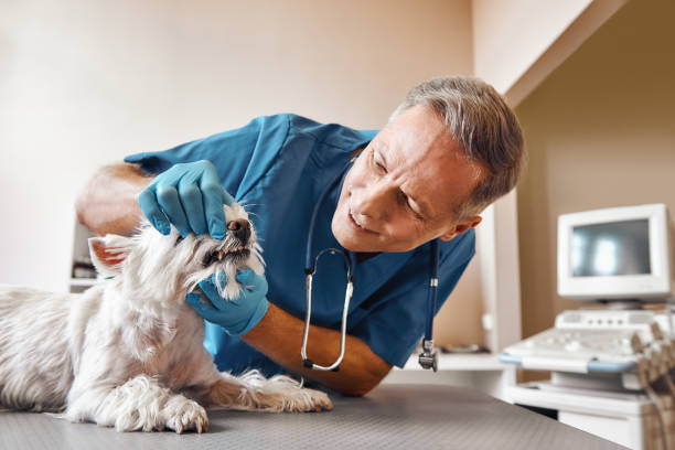 Best Emergency Dental Surgery in Suffolk, VA